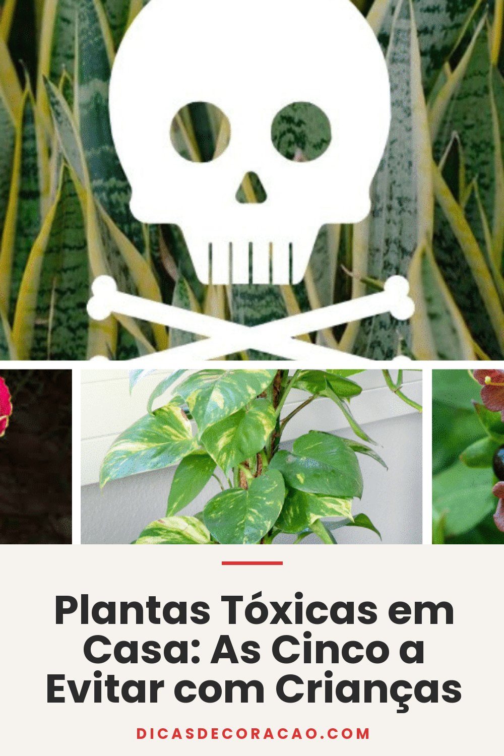Plantas Tóxicas em Casa: As Cinco a Evitar com Crianças