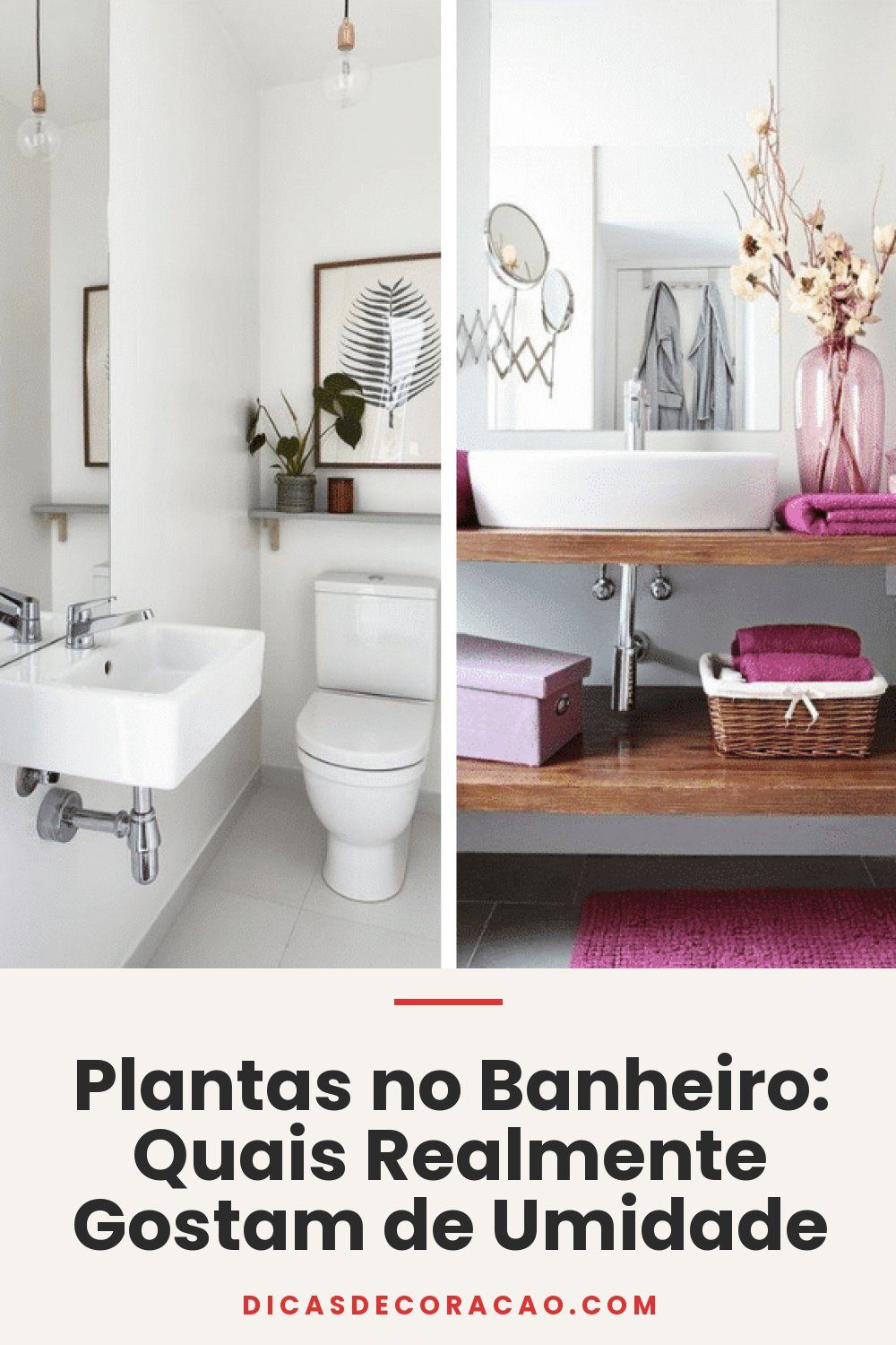 Plantas no Banheiro: Quais Realmente Gostam de Umidade