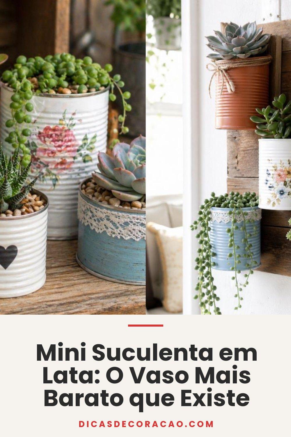 Mini Suculenta em Lata: O Vaso Mais Barato que Existe