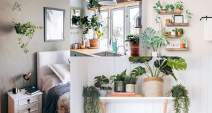decoracao com plantas 1