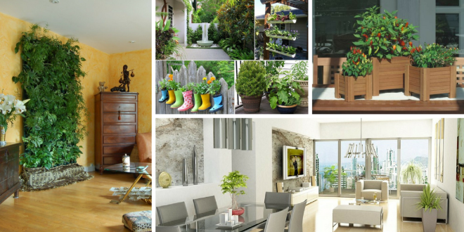 decoracao com plantas