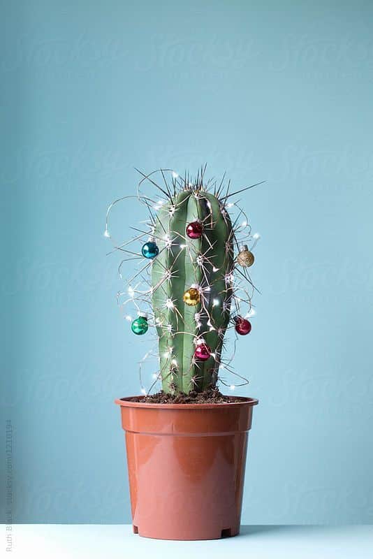 decoracao criativa de natal com cactus 1