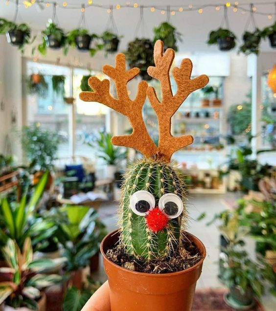 decoracao criativa de natal com cactus 3