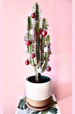 decoracao criativa de natal com cactus 4