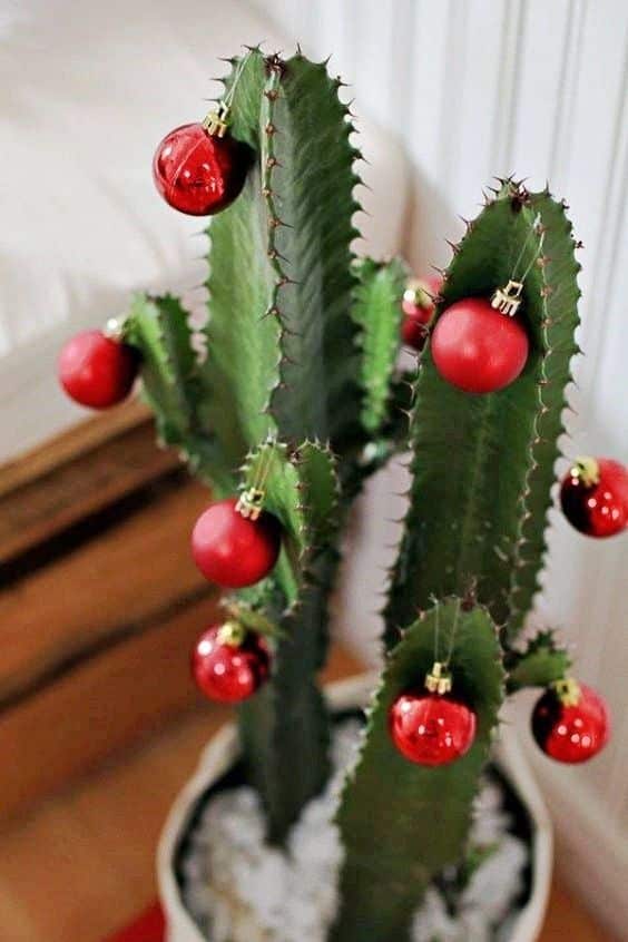 decoracao criativa de natal com cactus 7