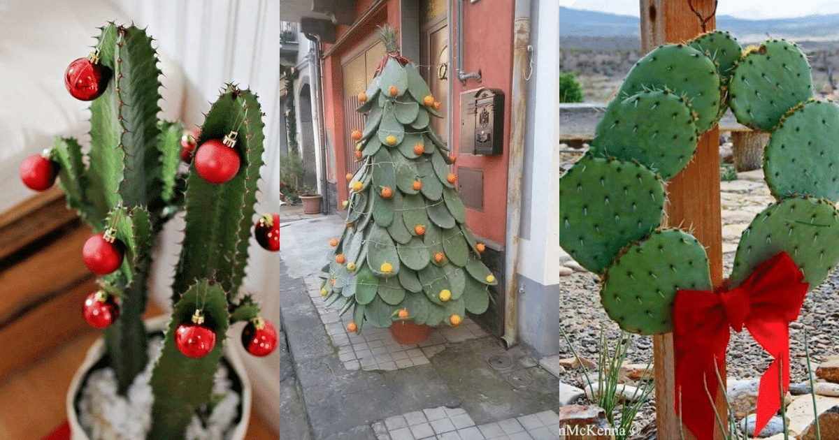decoracao criativa de natal com cactus