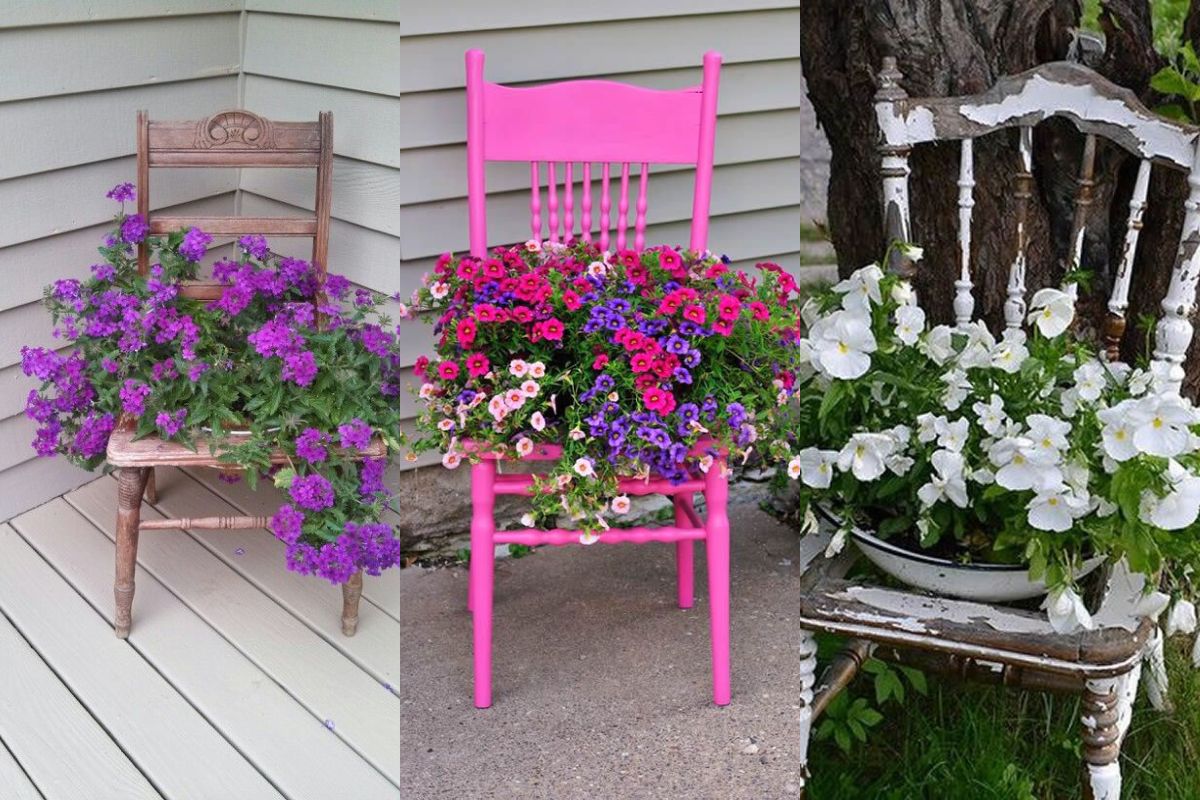 decoracao de jardim com cadeiras velhas 10