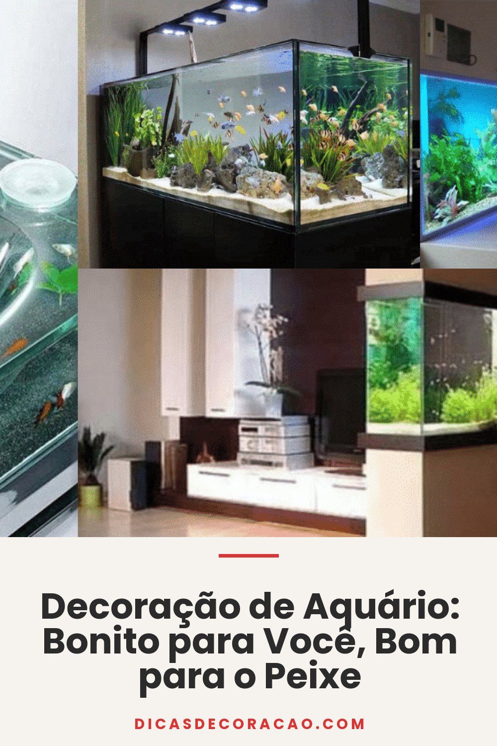 Decoração de Aquário: Bonito para Você, Bom para o Peixe