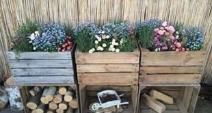 decoracao para jardins com caixotes de madeira 10