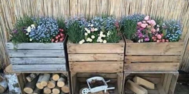 decoracao para jardins com caixotes de madeira 10
