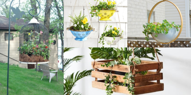 decorar com plantas suspensas