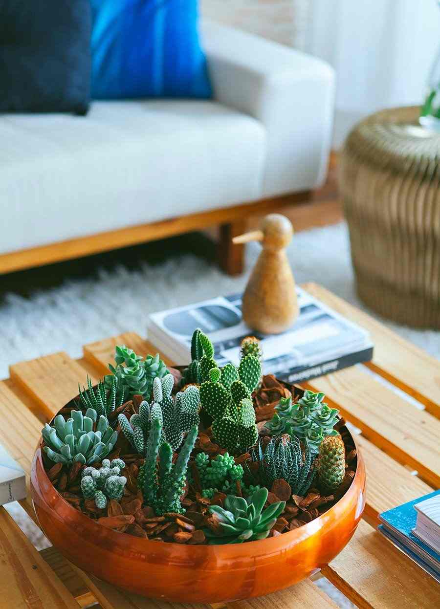 enfeites perfeitos para sua sala de estar 5