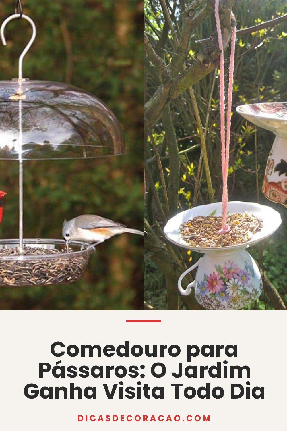 Comedouro para Pássaros: O Jardim Ganha Visita Todo Dia