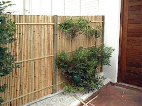 ideias de cercas de bambu para o seu jardim 2