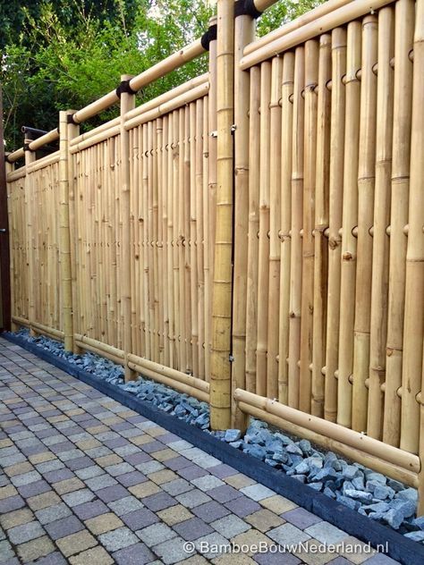 ideias de cercas de bambu para o seu jardim