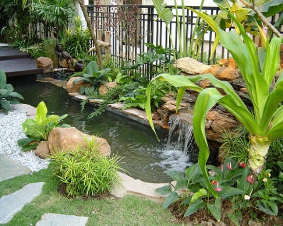 ideias de jardim tropical 1