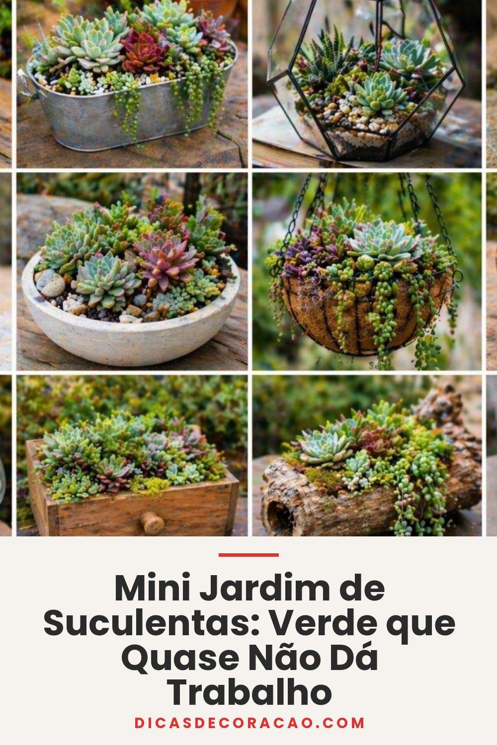 Mini Jardim de Suculentas: Verde que Quase Não Dá Trabalho