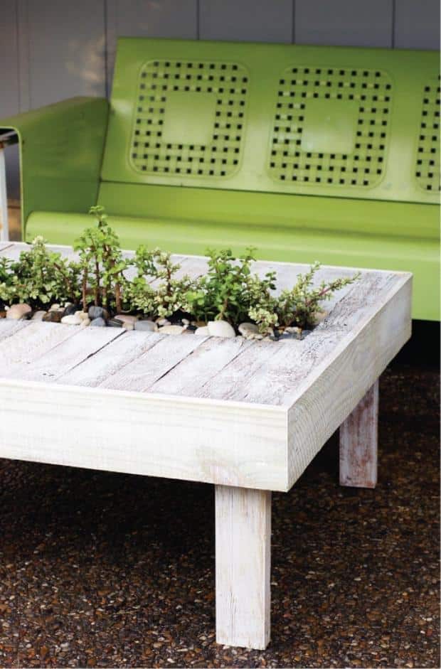 ideias de mini jardins para a mesa de centro 9