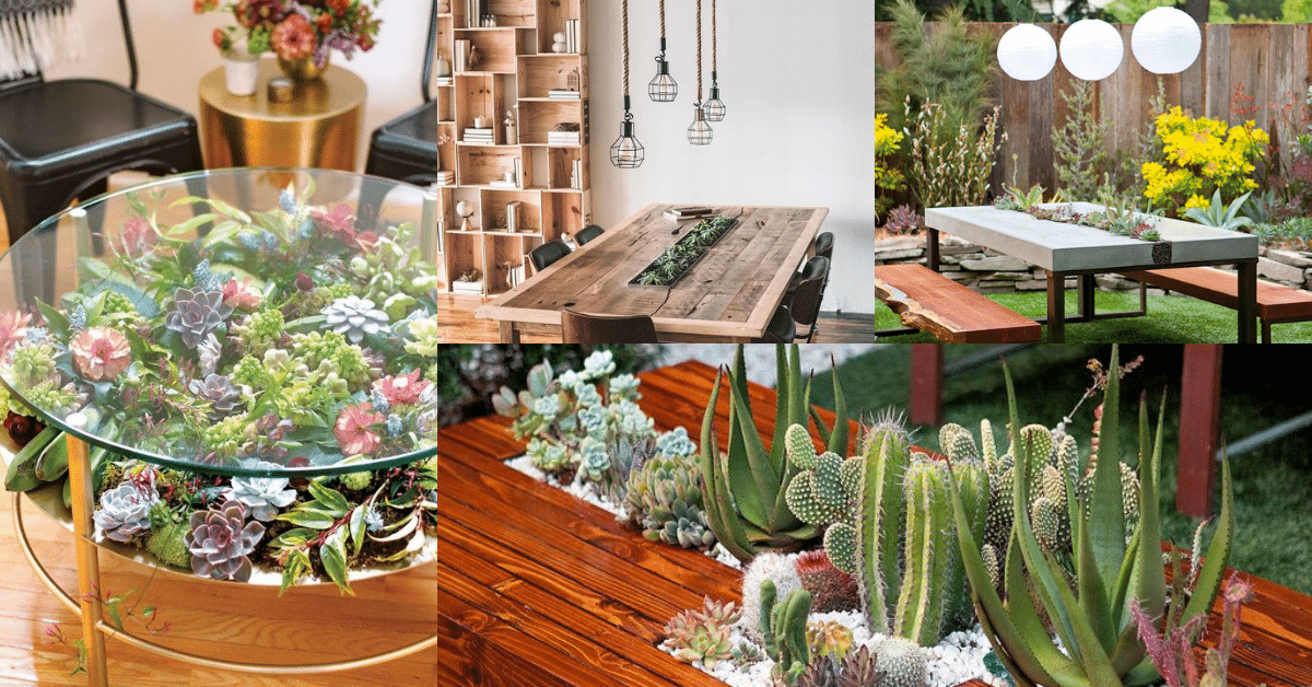 ideias de mini jardins para a mesa de centro