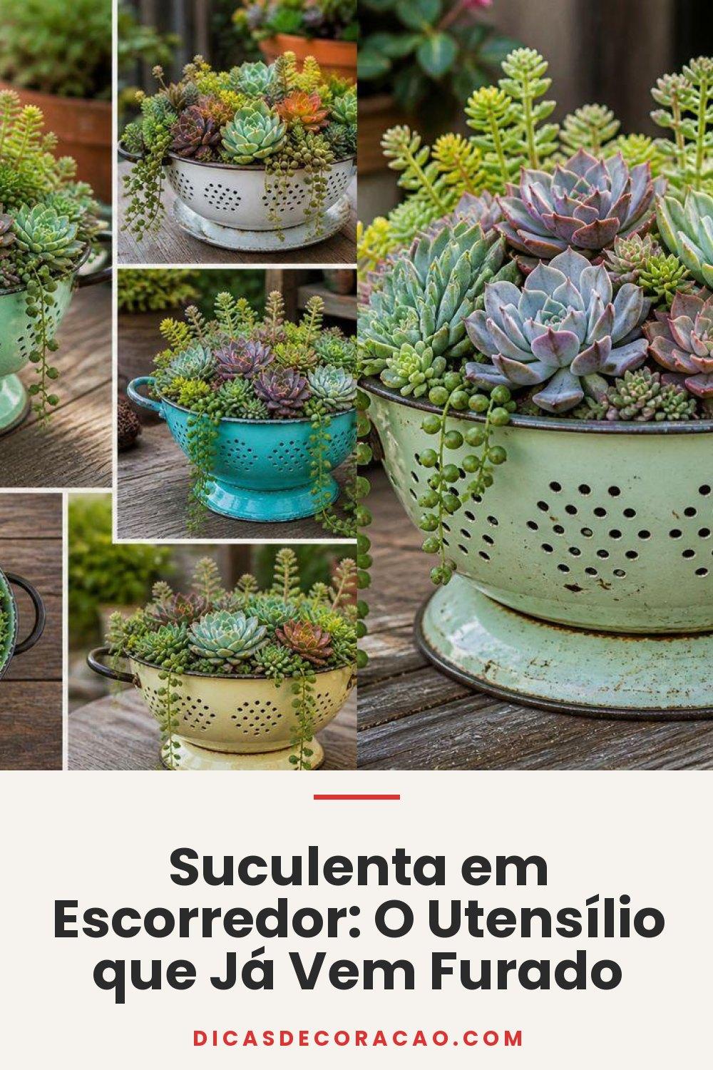 Suculenta em Escorredor: O Utensílio que Já Vem Furado