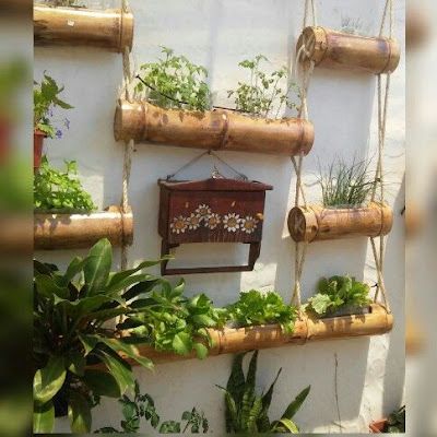 ideias decorar o jardim com bambu 13