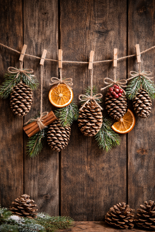 ideias incriveis com pinhas 6 scaled