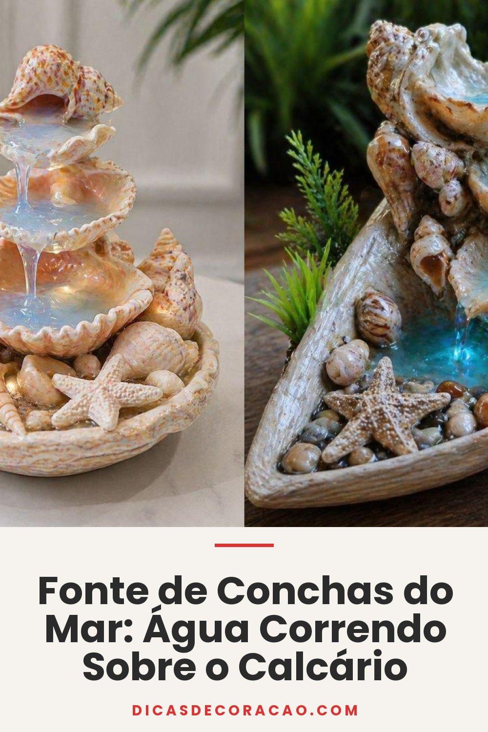 Fonte de Conchas do Mar: Água Correndo Sobre o Calcário