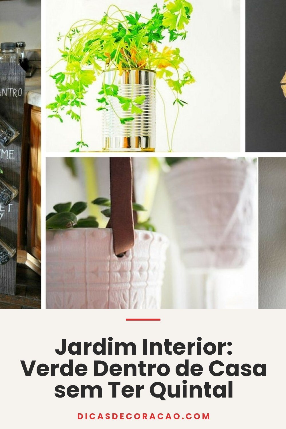 Jardim Interior: Verde Dentro de Casa sem Ter Quintal