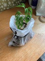 ideias para reciclar sacos shein decoracao