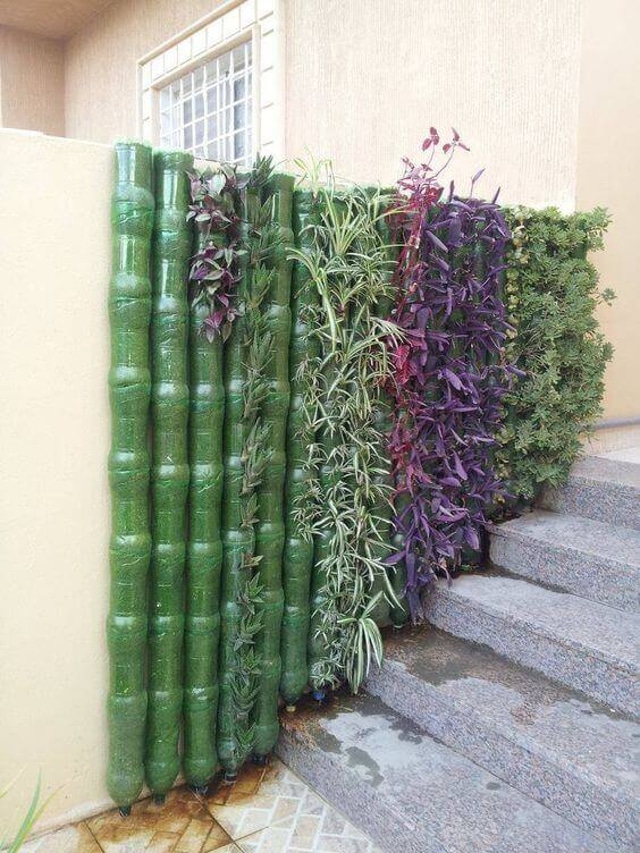 jardim vertical com garrafa pet 2