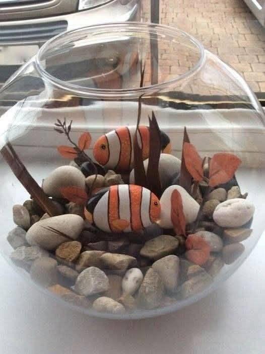 Lindo aqu&aacute;rio com peixes-pedra: ideias criativas para uma decora&ccedil;&atilde;o artesanal encantadora lindo aquario com peixes pedra 9