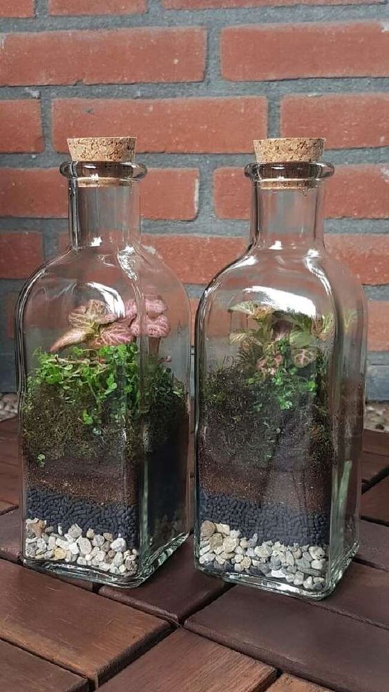 terrarios feitos em garrafas e potes de vidro 9