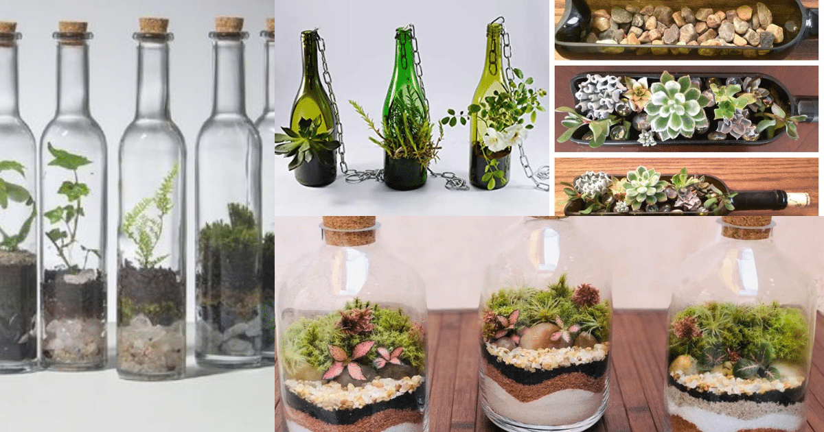 terrarios feitos em garrafas e potes de vidro
