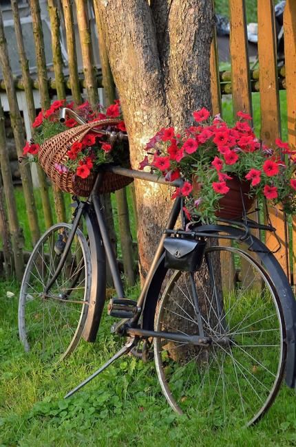 usar bicicletas como vasos de plantas 4