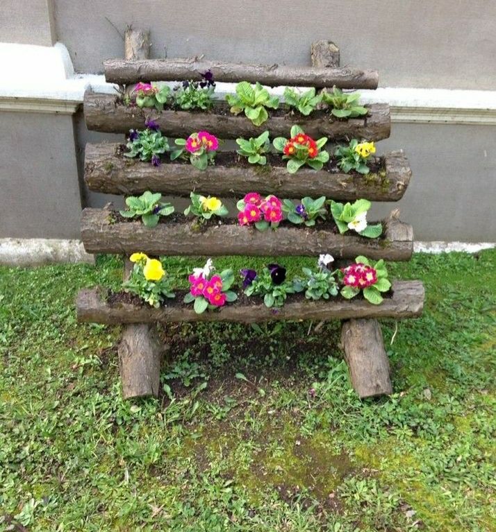 usar troncos de arvores no cultivo de flores 9